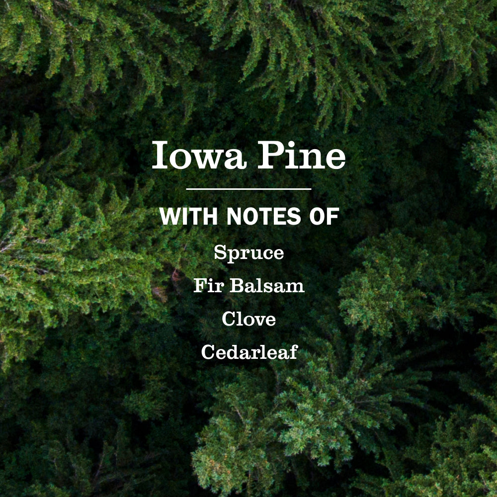 Iowa Pine Plug In Scented Oil Warmer With Refill - Image 5
