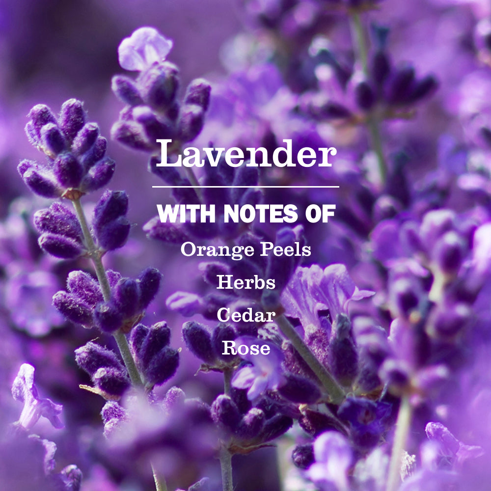 Lavender Plug In Scented Oil Refill. 4-Pack - Image 4