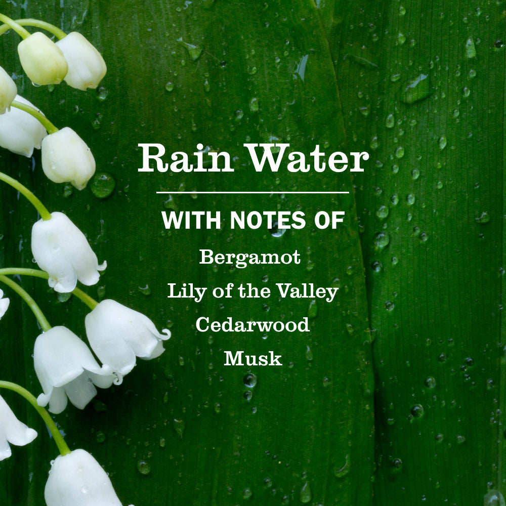 Rain Water Plug In Scented Oil Refill. 2-Pack - Image 5