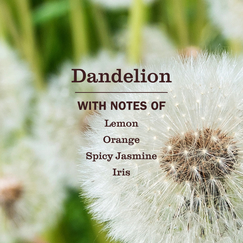 Dandelion Dish Soap 3-count Bundle - Image 4