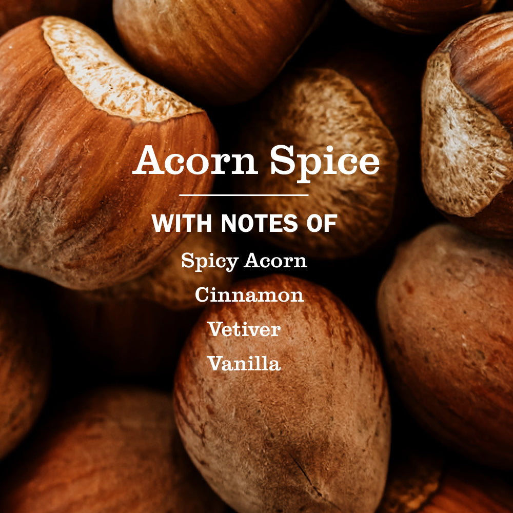 Acorn Spice Liquid Hand Soap - Image 4
