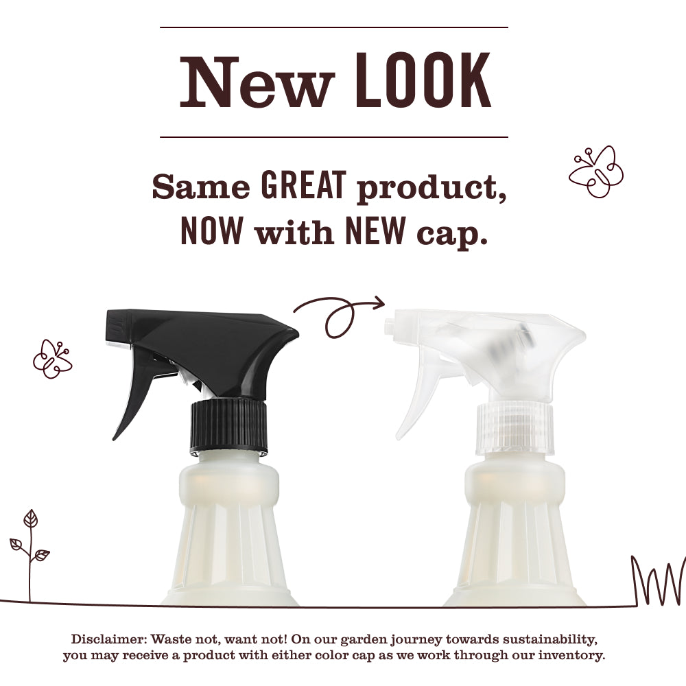 Daisy Multi-Surface Everyday Cleaner - Image 3