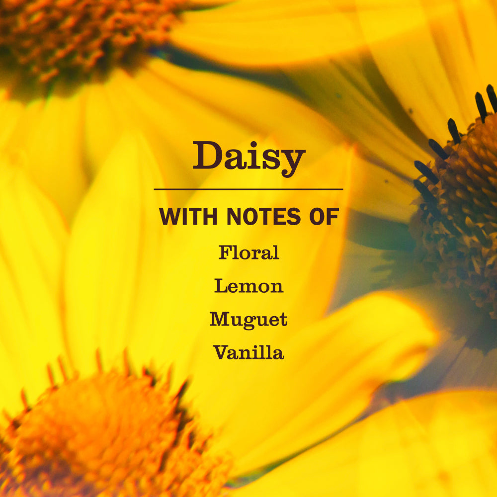 Daisy Kitchen Basics Set - Image 4