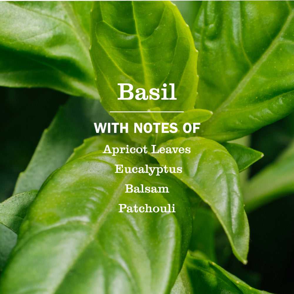 Basil Dish Soap - Image 4