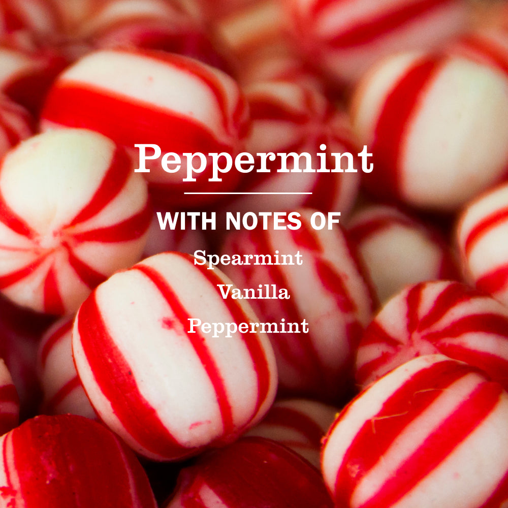 Peppermint Liquid Hand Soap 3-count Bundle - Image 4