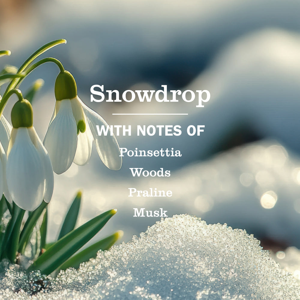 Snowdrop Multi-Surface Everyday Cleaner - Image 4